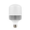 FOCO LEDEX OVO PLUS T3S-E E27 20W 6500K 100-240V FP> 0.9 65X 125MM 20000H 240° 1800LM LEDEX -16418